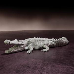 Deinosuchus resting - pre-supported prehistoric crocodile/alligator