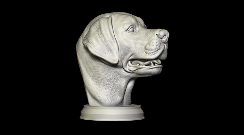 Labrador Retriever Bust