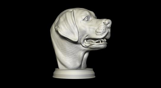 Labrador Retriever Bust