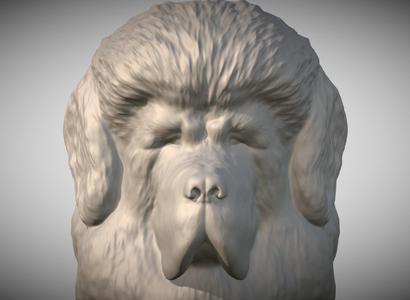 Tibetan Mastiff head for 3D printing