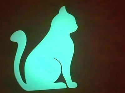 Cat-Glow in the dark