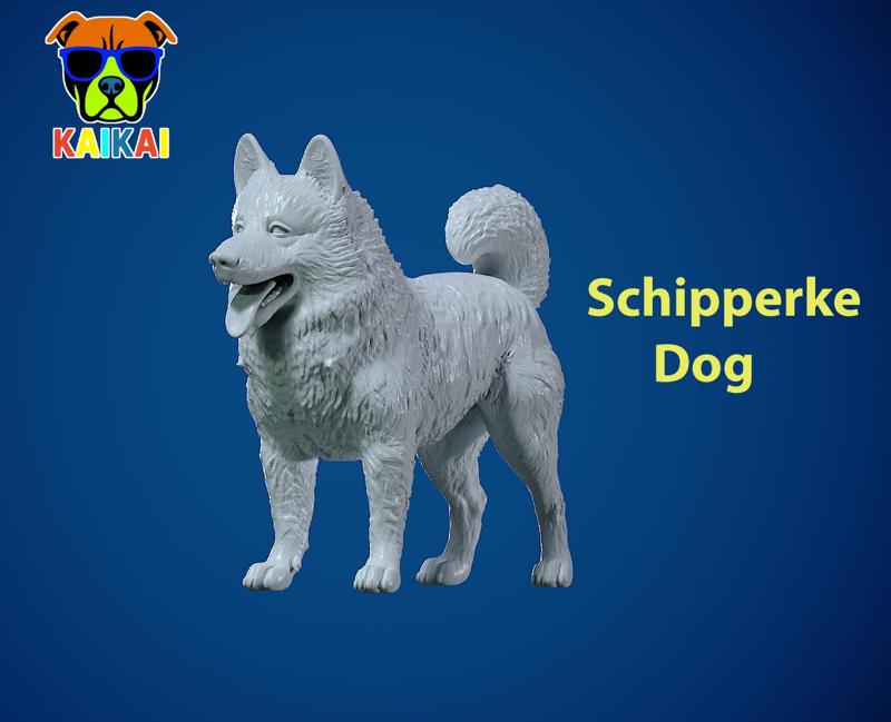 Schipperke Dog model- Little Captain  Dog - 3D print