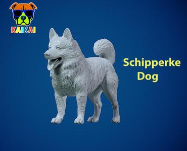 Schipperke Dog model- Little Captain  Dog - 3D print