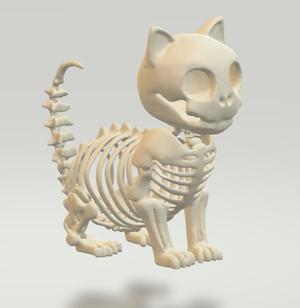 Skeleton Cat