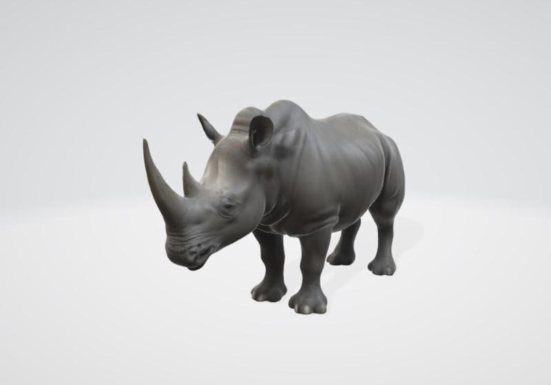 Rhinoceros