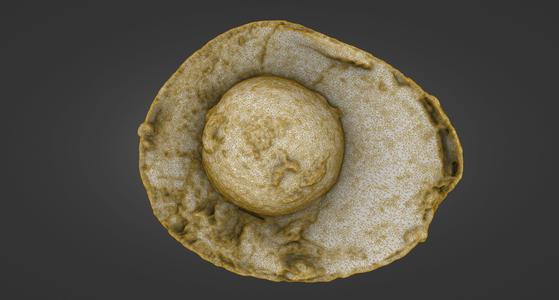 Avocado Quad Set (Whole, Half w/ Seed, Half w/o Seed, Pit) — Laser-Scanned 3D Models (500k & 1.5M OBJ/STL) - By ScanPantry