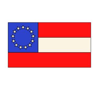 Confederate National Flag