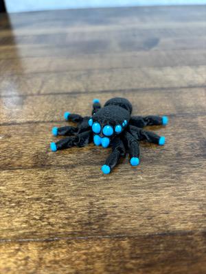 Spider Fidget