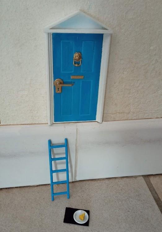 Small mouse front door