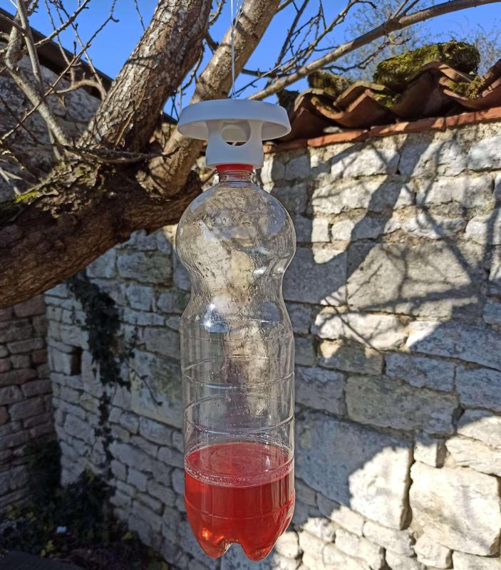Hornet trap - Hornet trap - Trape à horlon