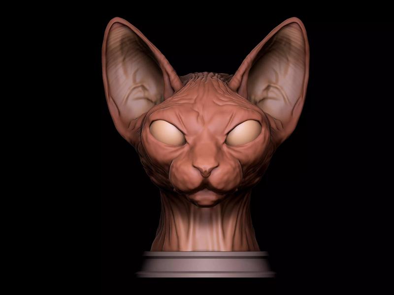 Sphynx Cat 3D Print Model