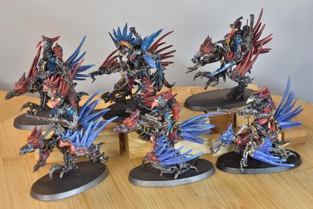 Raider cybird