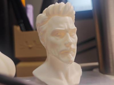 Iron Man~Tony Stark Head Sculpture
