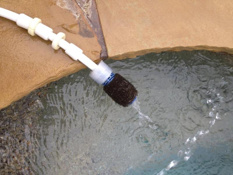 Polaris Tail Sweep Cap