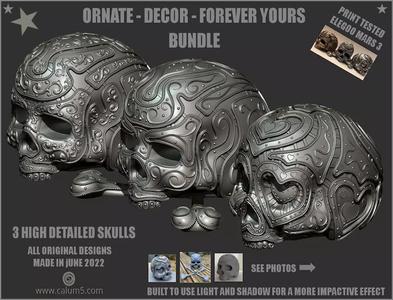 3 Detailed Skulls Set