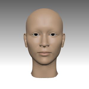 base model of woman's face - base modelo base de mujer's face