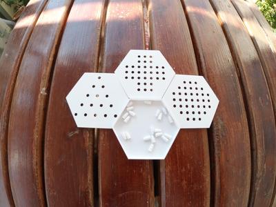 Peg Solitaire