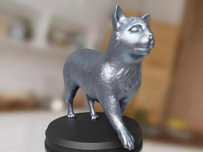 Silver Cute Domestic Cat