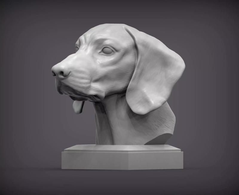 Bavarian Mountain Bloodhound bust