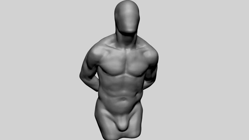 Male Torso Printable v3