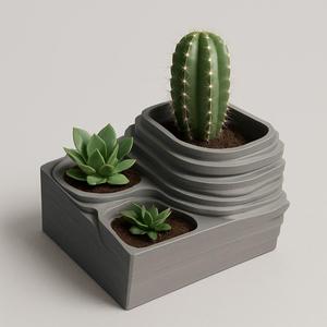Cactus planter