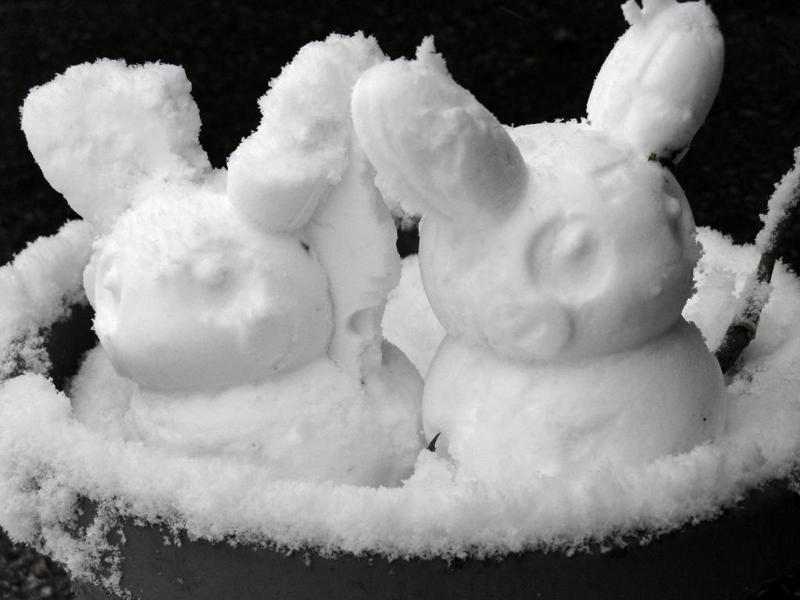 Snow Pika - A Snowman Mold