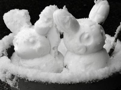 Snow Pika - A Snowman Mold