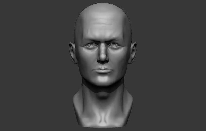 Male bust 3D - printing model