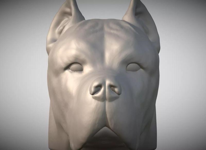 Cane Corso dog head for 3D printing