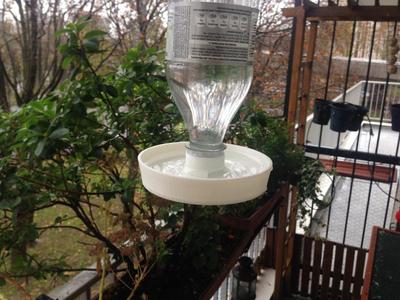 Abreuvoir pour oiseaux sur bouteille - Soda Clean water dispenser for birds