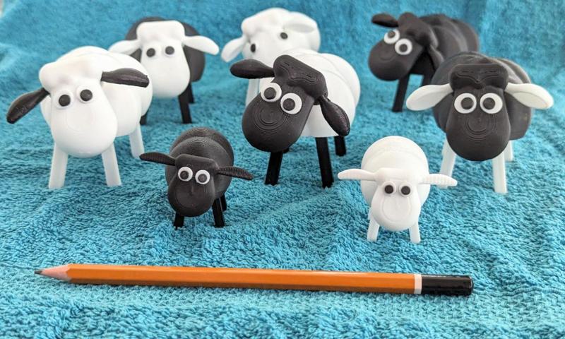 Sheep Brebis Sheep