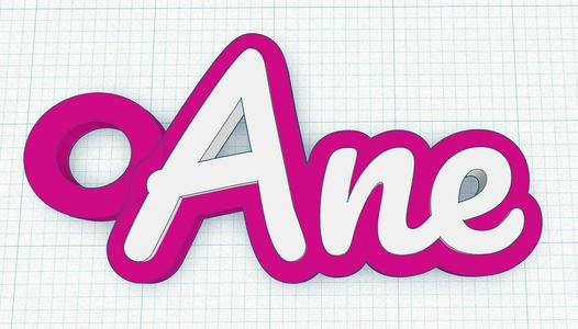 Fancy Keychain Name Tag - Ane