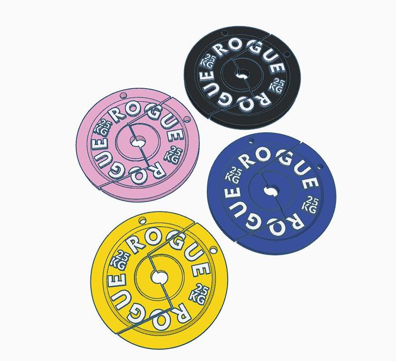 Gym Bros Disc Key Ring Set - Gym Sis