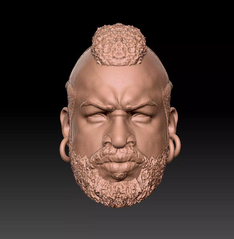 Mr T Head