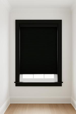 Remote Control Window Shade