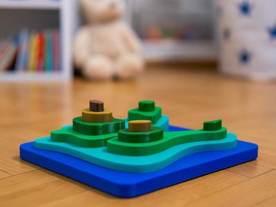 TopoGeo Puzzle