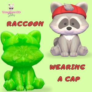 Raccoon Wearing a Cap