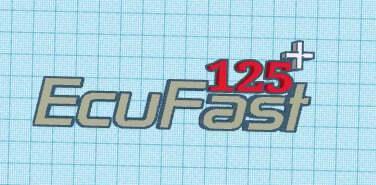 ecufast logo 125+ keychain