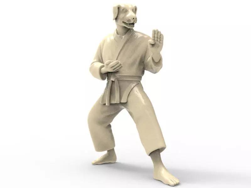 Dog Kokutsu Dachi Stance