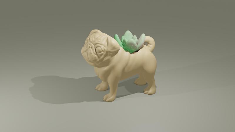 Pug Pot Plant