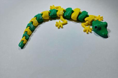 multicolored lizzard