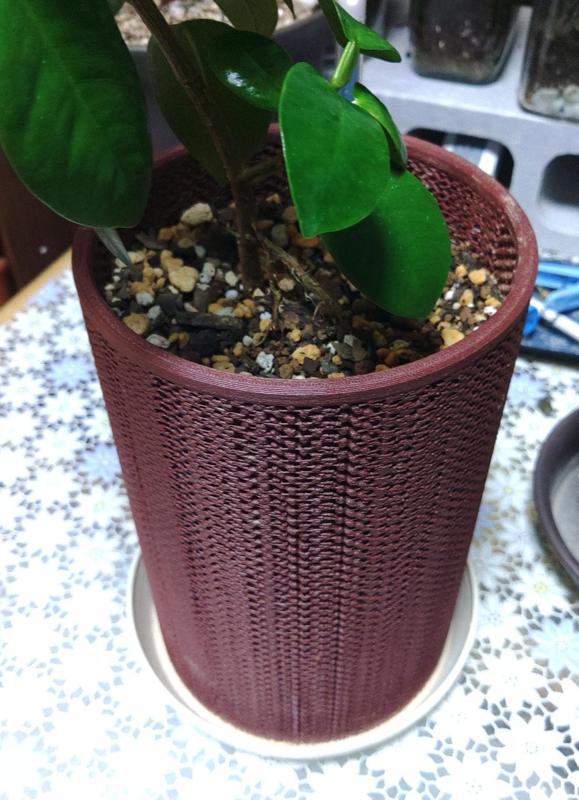 Cylindrical mesh pot