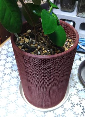 Cylindrical mesh pot