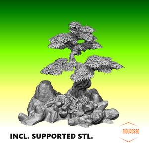 japanese garden tree 4