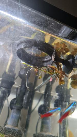 Krmítko pro akvárium