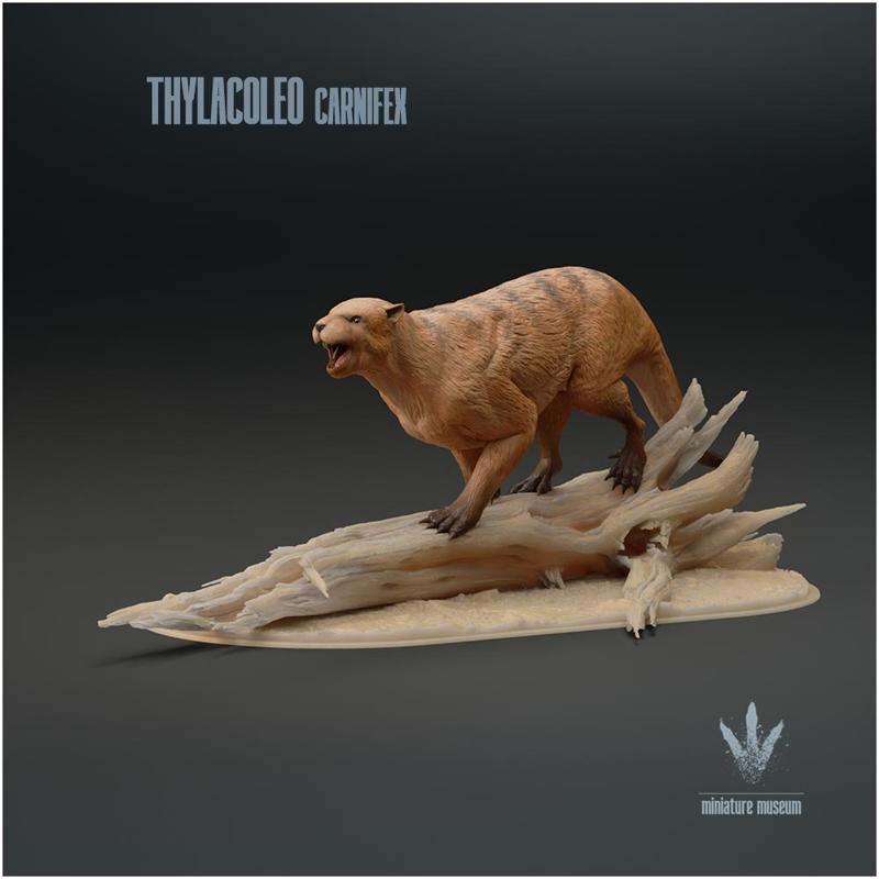 Thylacoleo carnifex : Snarl