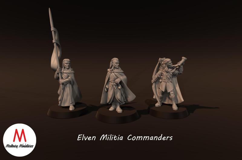 Elven Militia Commanders