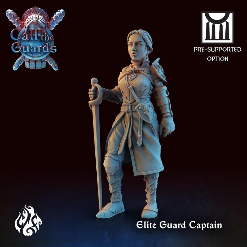 City Guard Elite Captain