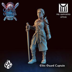 City Guard Elite Captain