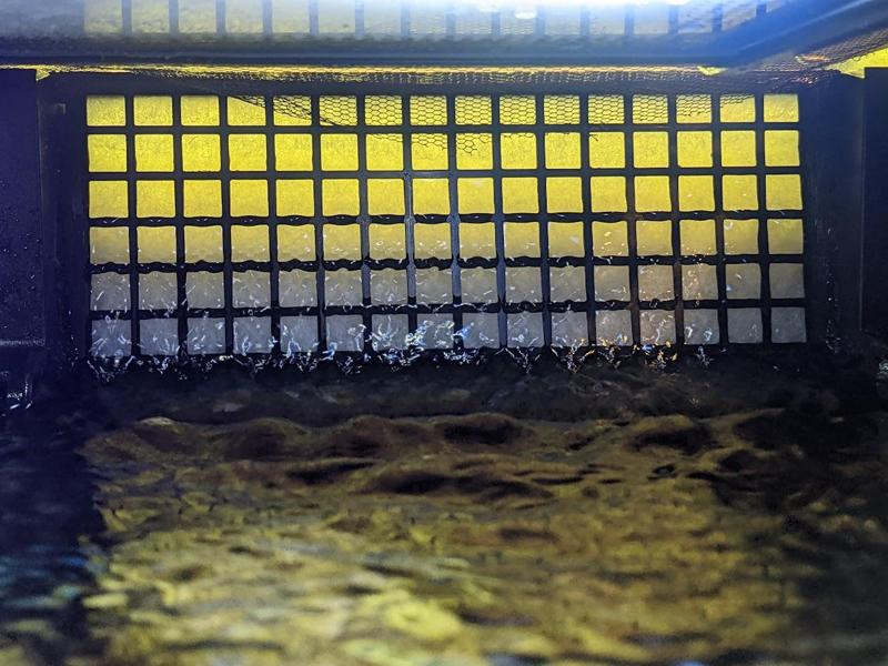 Seachem Tidal 110 przegroda - wata filtracyjna